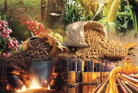 Thị trường giao dịch hàng hóa tại Việt Nam: 14 năm chuyển mình .